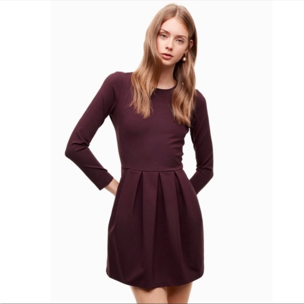 Aritzia Sunday Best Tartine Dress Fit Flare Pleat